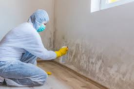 Asbestos and Lead Testing During Mold Inspection in Manvel, TX