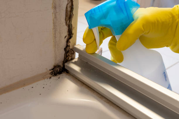 Best Mold Removal for HVAC Installations  in Manvel, TX