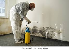 Reliable Manvel, TX Mold Prevention & Removal  Solutions